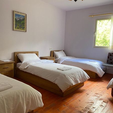 Vita Guesthouse Bajram Curri Екстер'єр фото